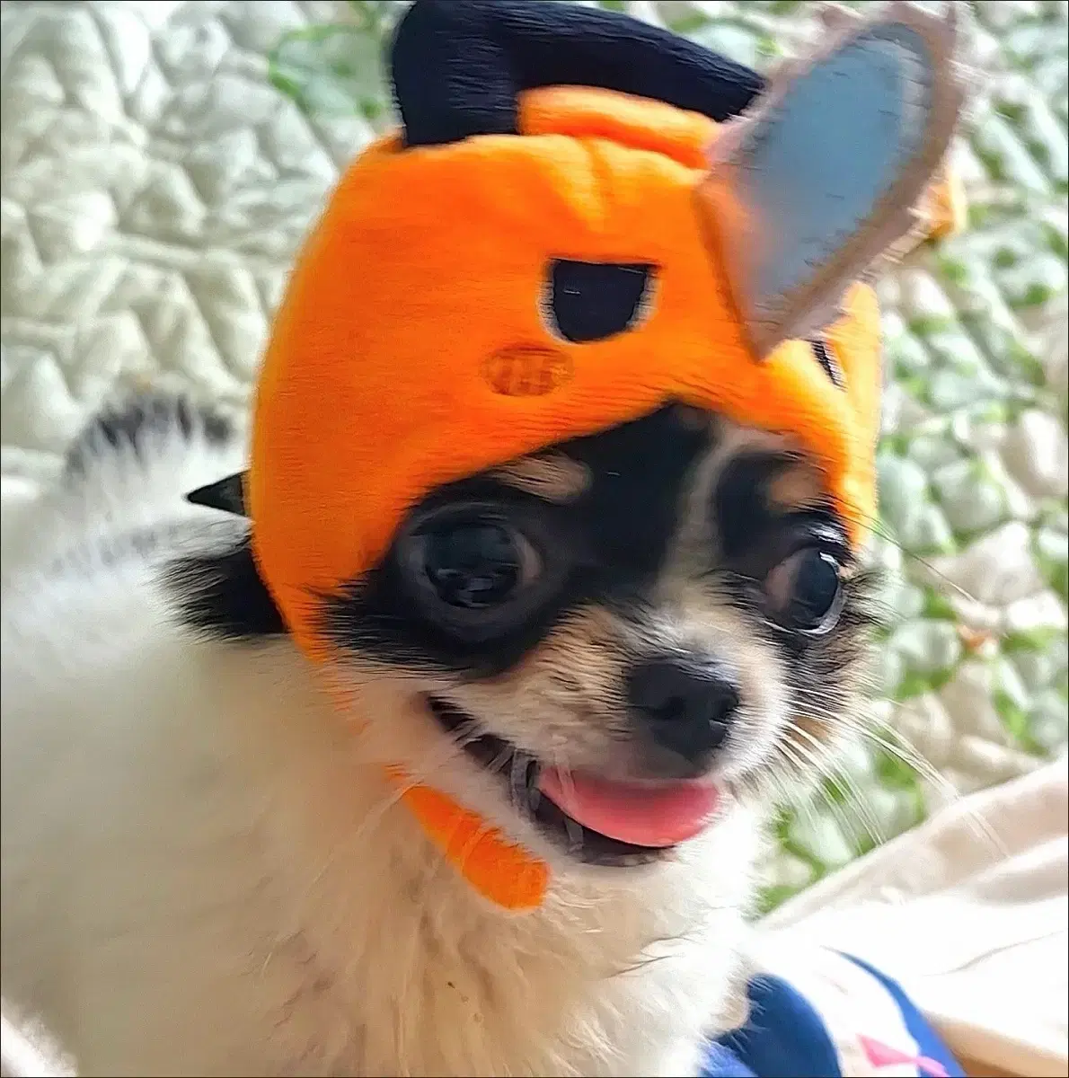 thumbnail-2